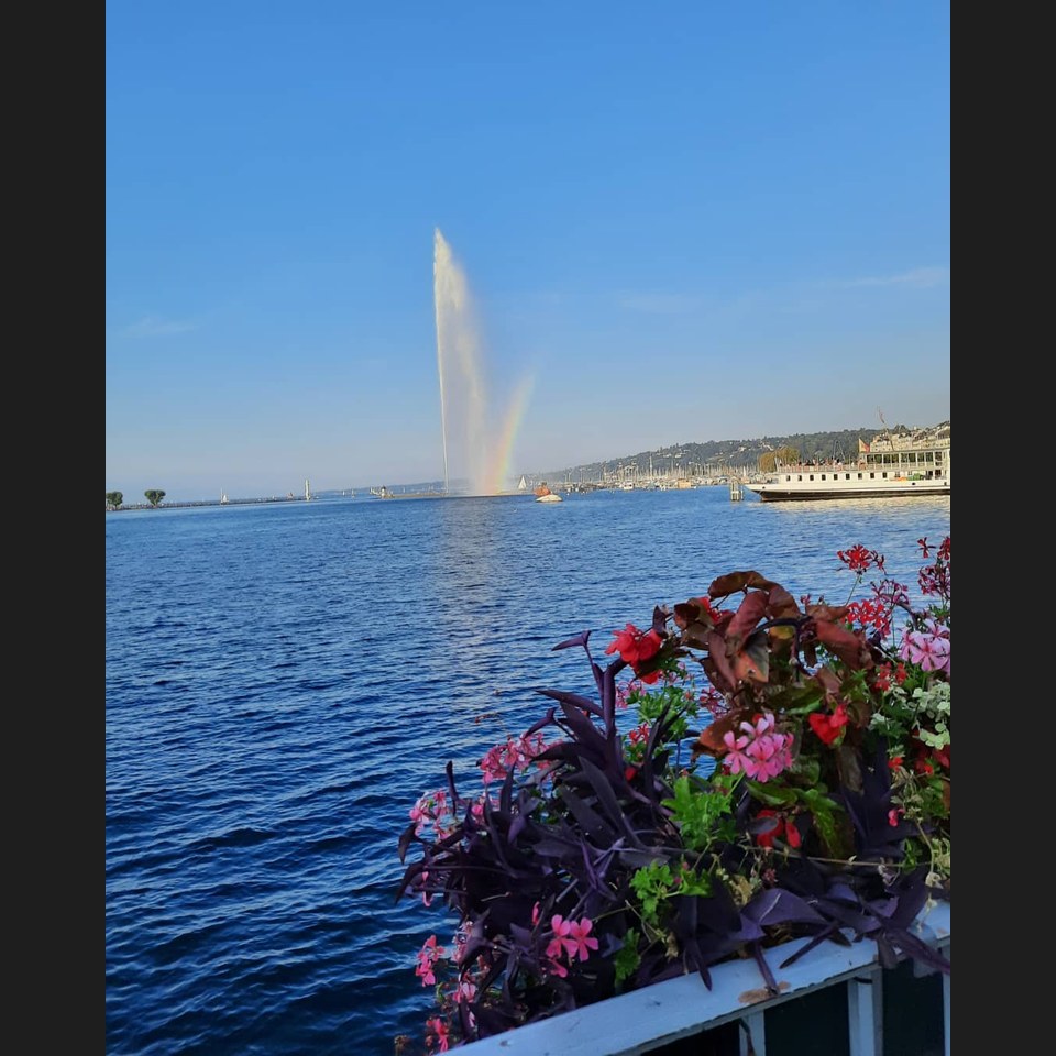 Gallery post 60